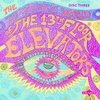 Never Another - Original - The 13th Floor Elevators