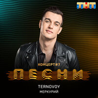 Меркурий - TERRY