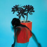 Villainy - Local Natives