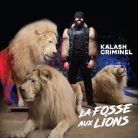 Ahou - Kalash Criminel