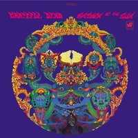 Alligator - Grateful Dead