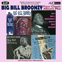 The Blues: Southbound Train - Big Bill Broonzy