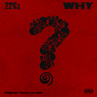 Why - 22gz