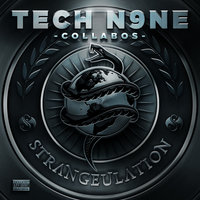 Over It - Tech N9ne, Tech N9ne Collabos feat. Ryan Bradley