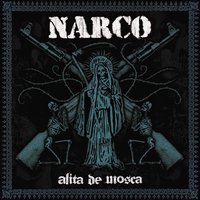 El Hombre Que Susurraba A Los Camellos - NARCO