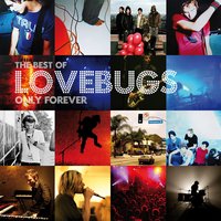 The Highest Heights - Lovebugs