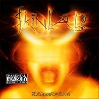 So Far From The Truth - Skinlab