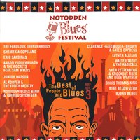 Move from The 'Hood - Luther Allison