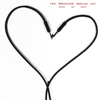 Choir Vandals - The American Analog Set