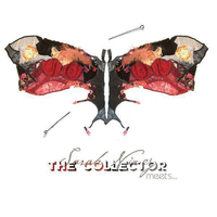 The Collector meets The Freelance Hellraiser - Sarah Nixey