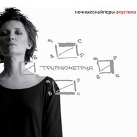 директорская - Ночные Снайперы