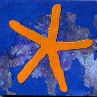13th Star - Fish