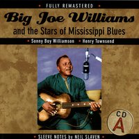 cotton Patch Blues - Big Joe Williams