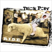It's A Heartache - Trick Pony