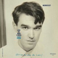 Spent the Day in Bed - Morrissey
