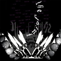 The Faint