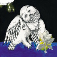 The Old Black Hen - Songs: Ohia