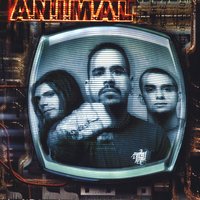 Dios - A.N.I.M.A.L., Richard Kaplan