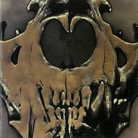 EVERYONE LIES - LOUDNESS