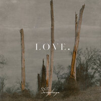 LOVE. - The Sweeplings