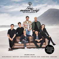 Springsteen Story (Musik sein) (aus "Sing meinen Song, Vol. 6") - Milow