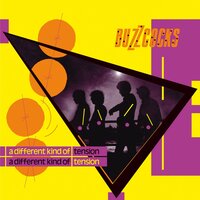Mad, Mad Judy - Buzzcocks