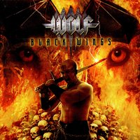 A Dangerous Meeting - Wolf