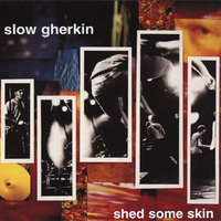 Reminder - Slow Gherkin