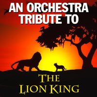 Circle Of Life - Deja Vu