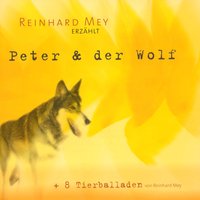 Mein Roter Bär - Reinhard Mey