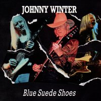 Bring It on Home - Johnny Winter