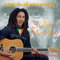 Babylon Cookie Jar - Julian Marley