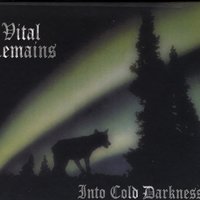 Decent Into Hell - Vital Remains