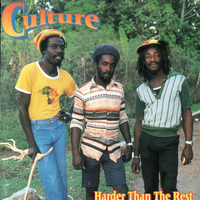 Work On Natty - Culture