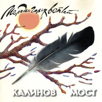 Пока ты молод - Калинов Мост