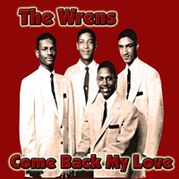 Hey Girl - The Wrens