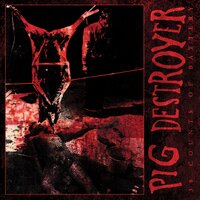 Tentacle - Pig Destroyer