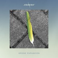 Folie/Föhn - Maxim