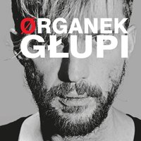 Stay - Organek