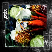 Fiesta - The Cratez, Dardan