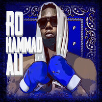 Ain't Gotta Like It - Z-Ro