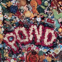 Wheel - Pond