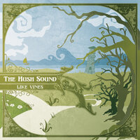 Out Through the Curtain - The Hush Sound