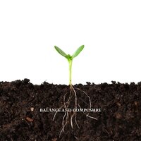 As Planned - Balance and Composure