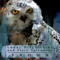 Salvation - Frown