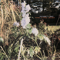 Total System Failure - Juliana Hatfield