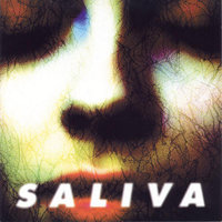 Pin Cushion - Saliva