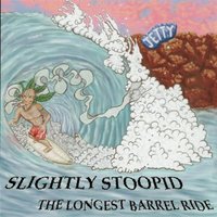 Mr. Music - Slightly Stoopid