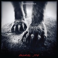Immaculate - Shearwater