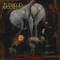 Sugar - Fleshgod Apocalypse